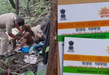 காட்டில் சங்கிலியால் கட்டப்பட்ட அமெரிக்க பெண்ணிடம் ஆதார் கார்டு