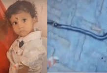 பாம்பு கடித்து குழந்தை இறந்திருப்பதை கேள்விப்பட்டிருக்கிறோம் – ஆனால் குழந்தை கடித்து பாம்பு இறந்த சம்பவம்