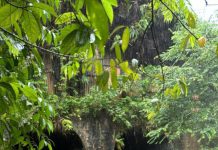 செலாயாங் வெள்ளப்பெருக்கில் சிக்கிய 25 பேர் – தொடரும் மீட்புப்பணி