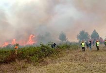 பெருவில் பயங்கர காட்டுத்தீ: 15 பேர் பலி