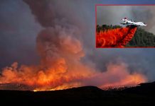 செல்ல நாய் தகனத்தில் விபரீதம்: 28 சதுர கி.மீ. பரவிய காட்டுத்தீ; ரூ.1.67 கோடி மதிப்பிலான பொருட்கள் சேதம்