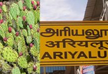 அரியலூரில் கள்ளிப்பால் குடித்த 5 மாணவர்கள் மருத்துவமனையில் அனுமதி