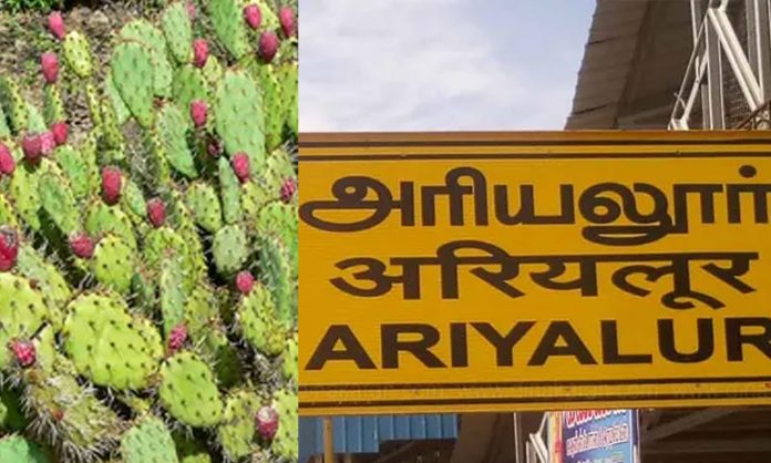 4536787-ariyalur-kallipal