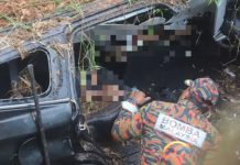 பினாங்கில் கார் மீது மரம் விழுந்து தந்தை மகள் பலி