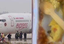 கொடுக்கப்பட்ட உணவில் கரப்பான் பூச்சி; விசாரணை நடத்துவதாக உறுதி