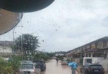 ஜாலான் கெபுன், ஸ்ரீ மூடா மற்றும் கோத்தா கெமுனிங் ஆகிய நகரங்களில் திடீர் வெள்ளம்