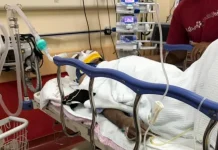 Lelaki diserang beruang meninggal dunia awal pagi tadi