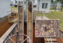 Rangka manusia dalam loji kumbahan