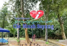 15 சிறார்கள் மற்றும் 27 வயது பெண்ணுக்கு ரோட்டா வைரஸ் தொற்று