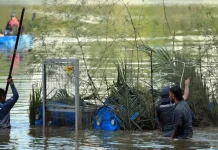 ஷஆலம் ஏரியில் இருந்த முதலை பிடிப்பட்டது