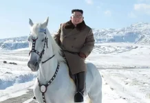 ஆயுதங்களை வழங்கிய வடகொரியாவுக்கு பரிசாக குதிரைகளை வழங்கிய ரஷியா