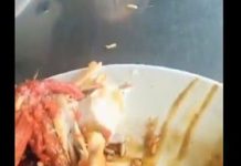 உணவக மேசையில் ஊர்ந்த புழுக்கள் – பயனர்கள் கலக்கம்