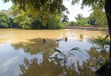 கெடாவில் வெள்ளத்தால் பாதிக்கப்பட்டோர் எண்ணிக்கை 1,419 பேராக அதிகரிப்பு