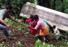 50 அடி பள்ளத்தில் கவிழ்ந்த கேரள அரசுப் பேருந்து: 10 பேர் காயம்