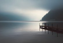 ஜார்ஜியாவில் படகுத்துறை மேடை இடிந்து விழுந்ததில் எழுவர் பலி