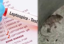 9 மாதத்தில் 155 பேர் பலி; எலிக்காய்ச்சலால் கேரளாவில் கிலி!