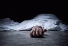 பணி நேரத்தில் கிரிக்கெட் விளையாடிய டாக்டர்கள்: சிகிச்சைக்கு வந்த சிறுமி உயிரிழப்பு