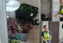 மளிகைக்கடை வளாகத்தில் விற்பனைக்கான காய்கறிகள் கழிவறையில் இருந்தது கண்டுபிடிக்கப்பட்டது