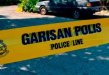 சுபாங் ஜெயாவில் அதிர்ச்சி: அடுக்குமாடி குடியிருப்பில் 41 பூனைகள் சடலமாக மீட்பு!