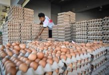 Malaysia di tangga ke-13 dunia, pemakan telur ayam terbanyak