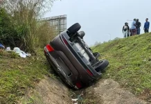 இறந்த பசுவின் மீது மோதிய கார் – 56 வயது மாது மரணம்