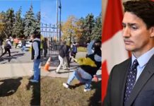 கனடா: இந்து கோவிலில் பக்தர்கள் மீது காலிஸ்தான் கும்பல் தாக்குதல் – பரபரப்பு வீடியோ.. ட்ரூடோ கண்டனம்