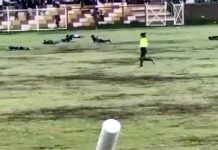 மைதானத்தில் மின்னல் தாக்கி பெரு நாட்டு கால்பந்து வீரர் பலி