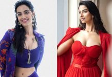 அந்த மாதிரியான கதைகளில் நடிக்க ஆர்வம்- நடிகை மீனாட்சி சவுத்ரி