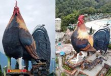 உலகின் மிகப்பெரிய கோழி வடிவ ஓட்டல் – கின்னஸ் சாதனை படைத்த பிலிப்பைன்ஸ் ரிசார்ட்