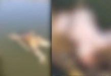 8 மாத குழந்தை.. தலையில்லாத சிறுவன் – அழுகிய நிலையில் பாட்டி – மணிப்பூரில் உடல்கள்