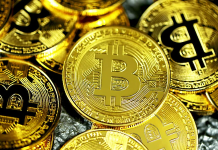 முன்னாள் காதலனின் ரூ.5900 கோடி மதிப்புள்ள பிட்காயினை தவறாக குப்பையில் வீசிய பெண்