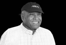 Taikun Tan Sri Ananda Krishnan Kehidupan Awal dan Kerjaya