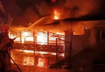 Bakar 3 rumah, 4 kenderaan – Wanita Vietnam ditahan
