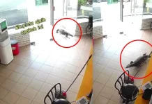 ‘Pesakit’ tak diundang kejutkan klinik