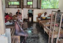 செயலில் இல்லாத முதியோர் இல்லத்தை சேர்ந்த 22 பேர் தன்னார்வ தொண்டு நிறுவனத்திற்கு வெளியே கைவிடப்பட்ட அவலம்