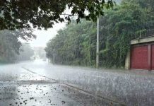 வங்கக்கடலில் புதிய காற்றழுத்த தாழ்வு: டிச.16ல் மீண்டும் துவங்குகிறது கனமழை