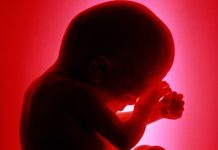 குடியிருப்பு கழிவறை குழாய்க்குள் 6 மாத கரு.. வாடகைக்கு இருக்கும் 9 வீட்டாருக்கும் டிஎன்ஏ பரிசோதனை