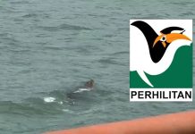 தெலுக் பாத்தேக்கில் முதலை இருப்பதாகக் கூறப்படுவது தொடர்பில் வனத் துறை கண்காணிப்பு