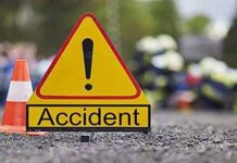 தாய்லாந்தில் சுற்றுலா பஸ் விபத்துக்குள்ளானதில் 5 பேர் பலி