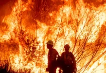 லாஸ் ஏஞ்சல்ஸ் காட்டுத்தீ: உதவிக்கரம் நீட்டிய கனடா