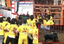 சீறி வரும் காளைகளுடன் அவனியாபுரம் ஜல்லிக்கட்டு தொடங்கியது