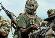 நைஜீரியாவில் 40 விவசாயிகள் சுட்டுக்கொலை