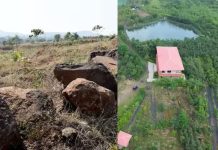 8 ஆண்டுகளில் 40 ஆயிரம் மரங்கள்: தரிசு நிலத்தை பசுமை நிலமாக மாற்றி சாதனை