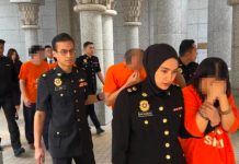 முதலீட்டுத் திட்ட மோசடி தொடர்பில் 5 பேர் கைது : எம்ஏசிசி