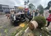 Kenderaan dihempap pokok-4 sekeluarga terselamat!