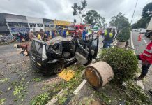 Kenderaan dihempap pokok-4 sekeluarga terselamat!