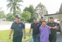 Pemandu lori didakwa membunuh