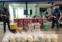 RM10,000 மதிப்புள்ள பழங்கள் கடத்தல்; தாய்லாந்துப் பெண் கைது
