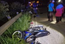 Lelaki maut rempuh lembu