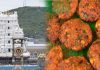 Masala Vadai bersama Prasad untuk penganut di Tirupati Mulai 4 Februari
